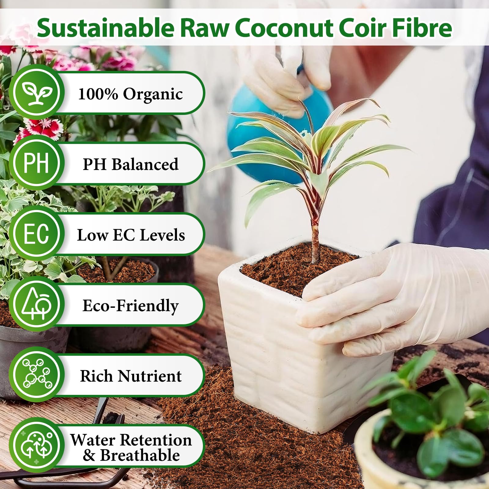 Legigo Coco Coir Bricks pack with 5 bricks
