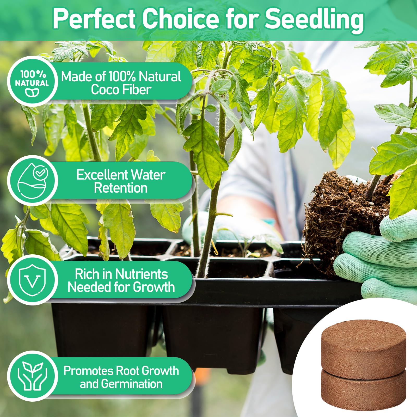 Legigo coco coir pellets 30mm in seedling tray with water