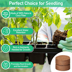 Legigo coco coir pellets 30mm in seedling tray with water
