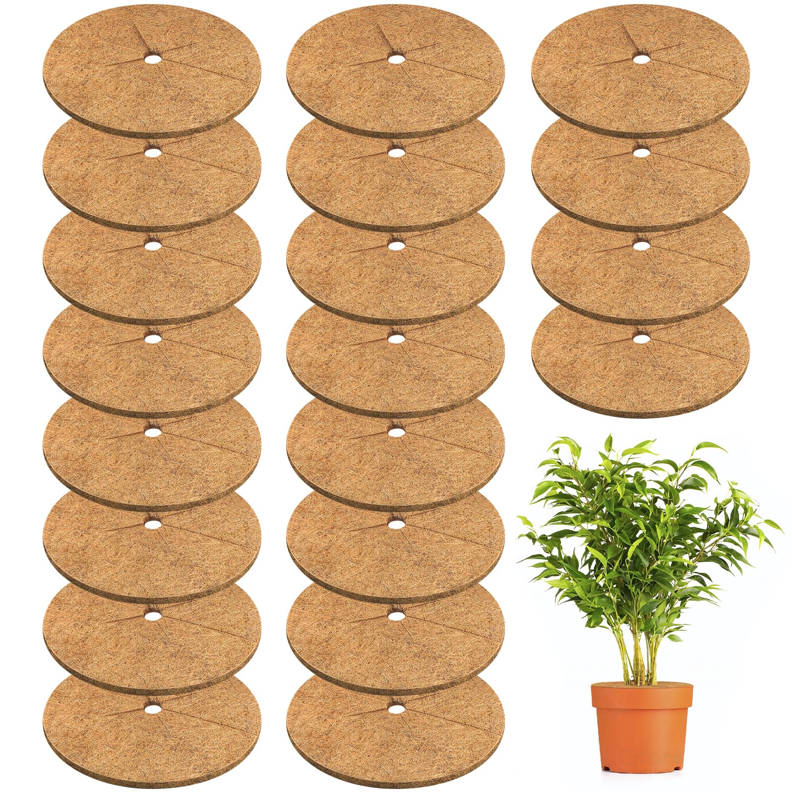 Legigo Coconut Fiber Mulch Ring 20 Pack, 11.8 Inch front view