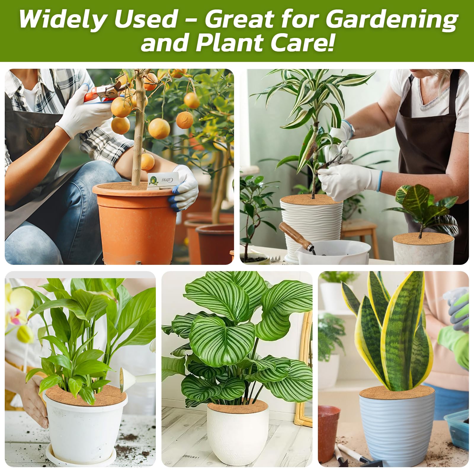 Legigo Coconut Fiber Mulch Ring in different pot sizes