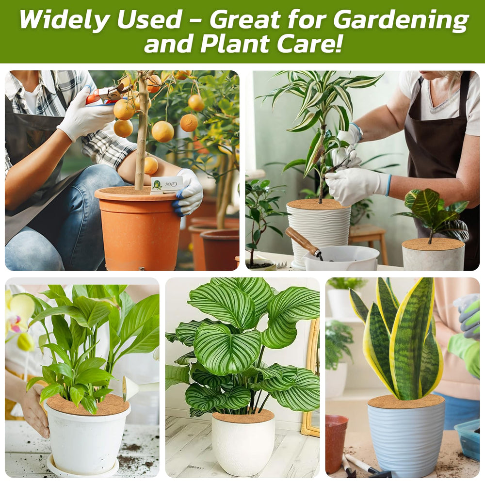 Legigo Coconut Fiber Mulch Ring in different pot sizes