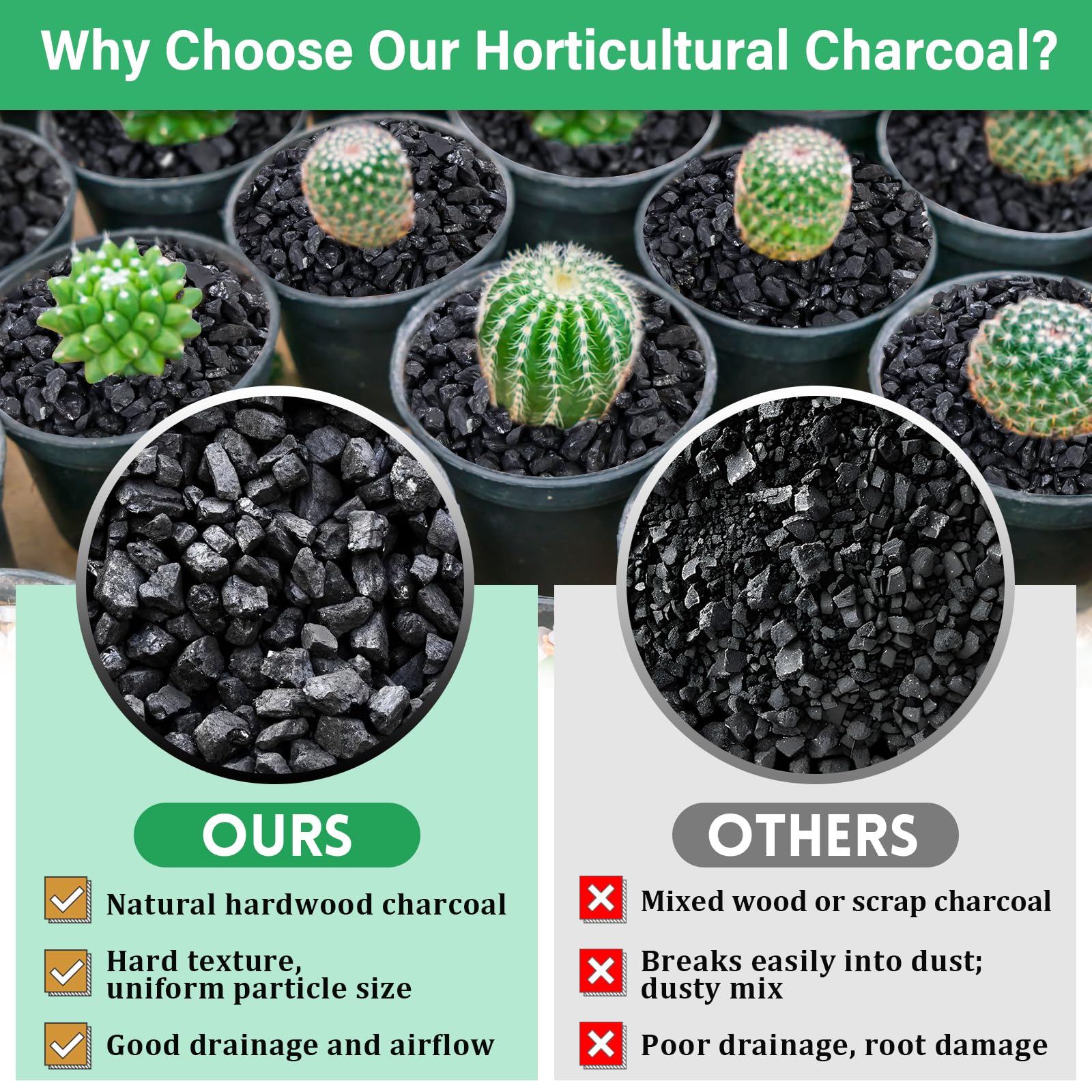 Legigo horticultural charcoal 6 QT with plants