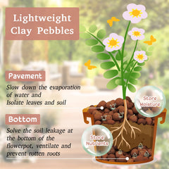 Legigo Leca Clay Pebbles used in a plant pot