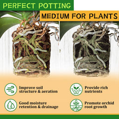Legigo Organic Orchid Bark shown with indoor plants