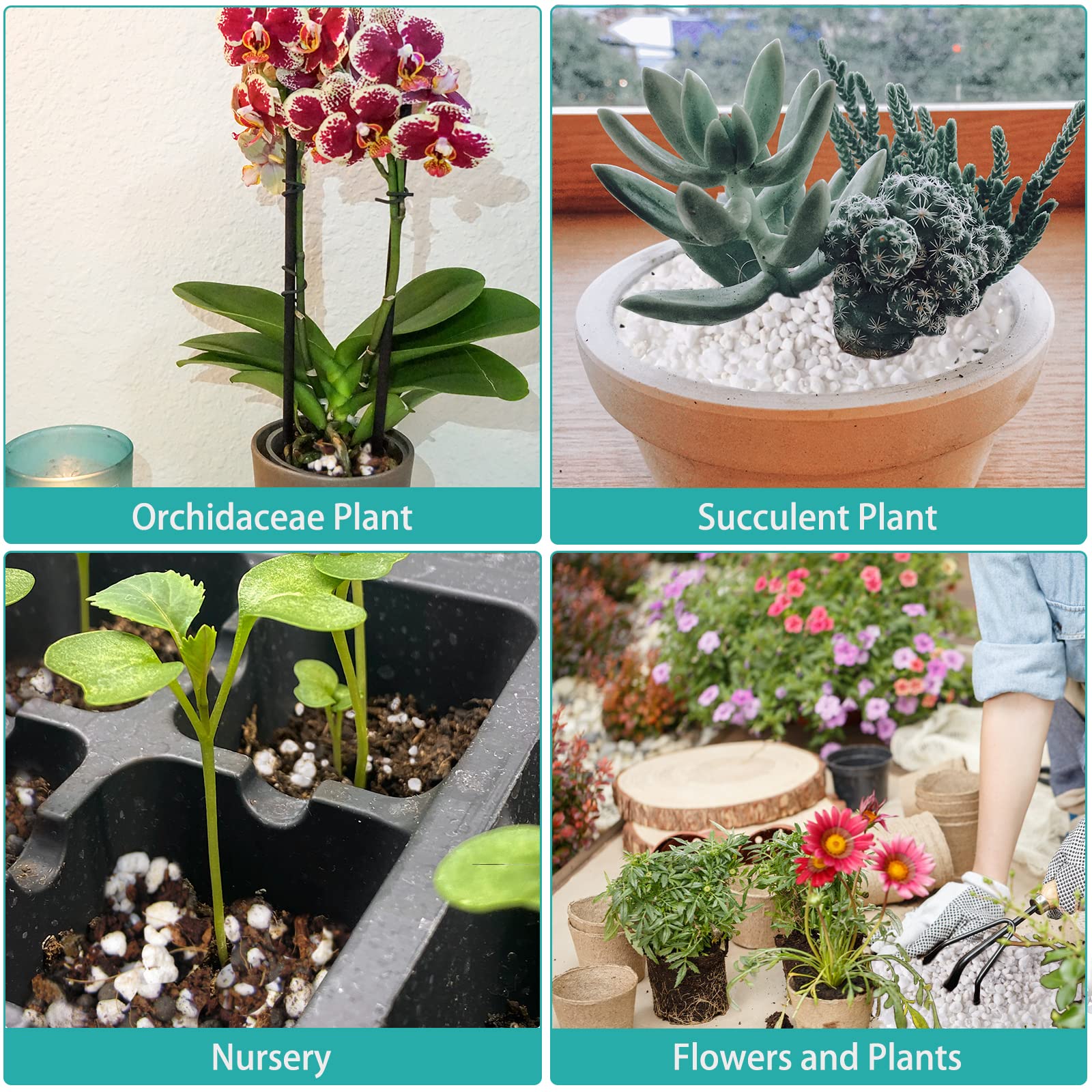 Legigo organic perlite displayed alongside various indoor plants