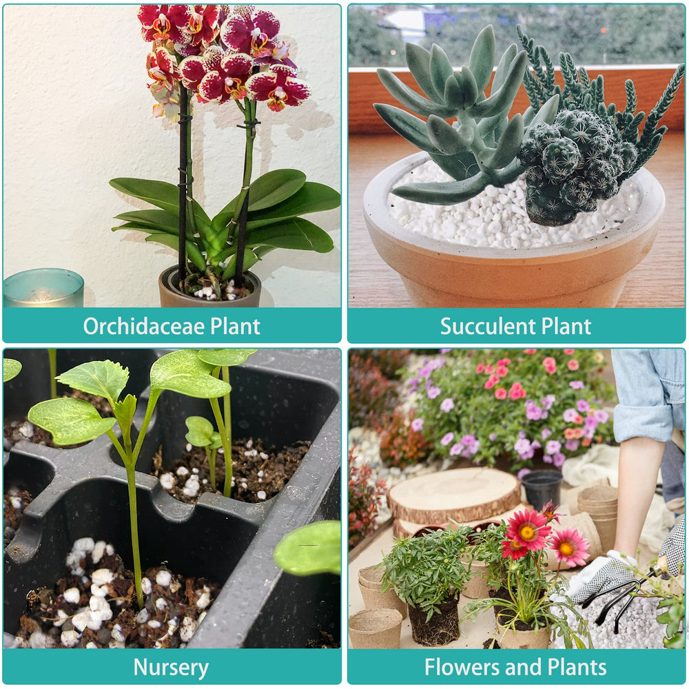 Legigo organic perlite displayed alongside various indoor plants