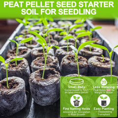 Legigo peat pellets showing compressed shape