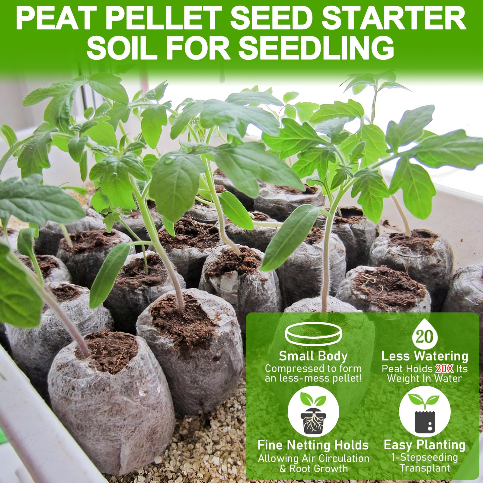 Legigo peat pellets with seeds ready for planting