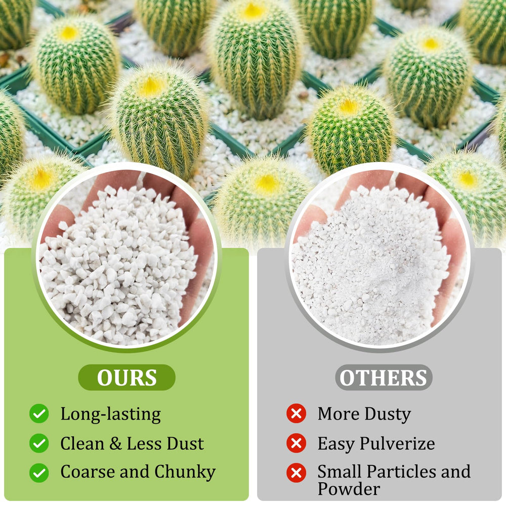Legigo perlite used in a potted succulent arrangement