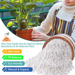 Legigo perlite used in a succulent potting arrangement