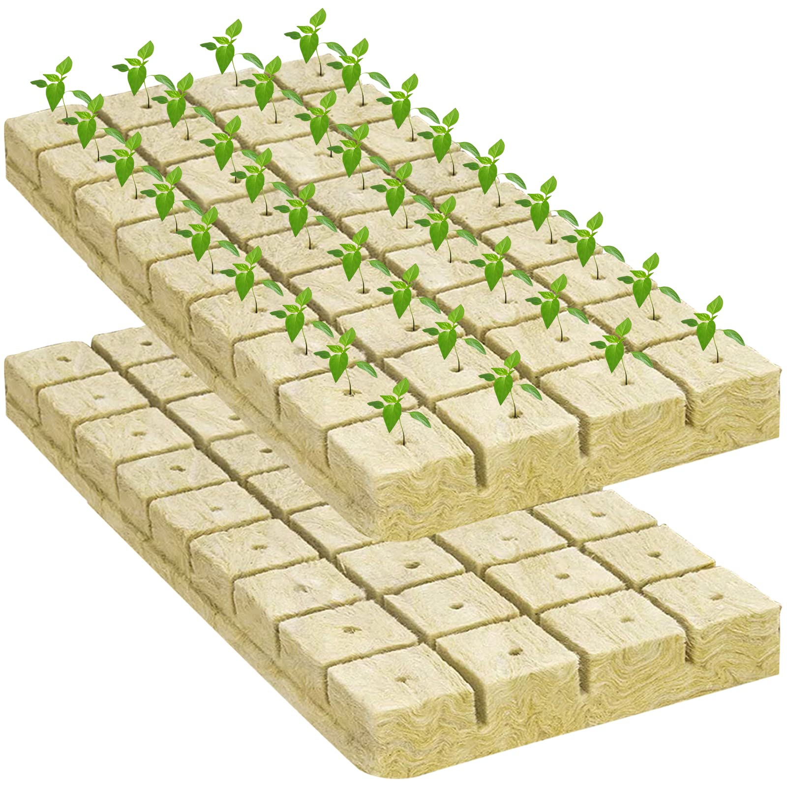 Legigo rockwool cubes in a hydroponic setup