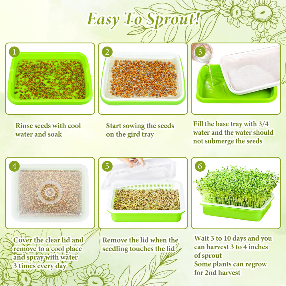 Legigo seed sprouter with transparent lid for visibility