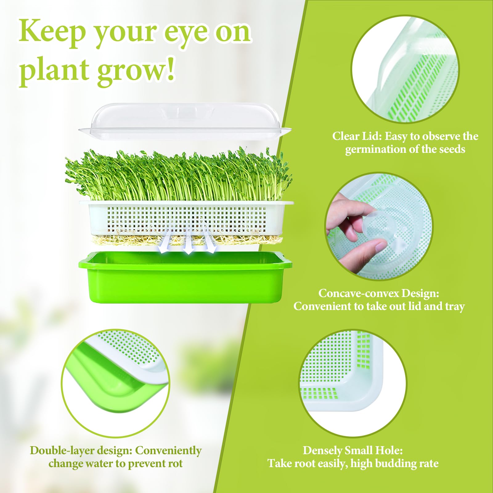 Legigo seed sprouting kit with germinating papers included
