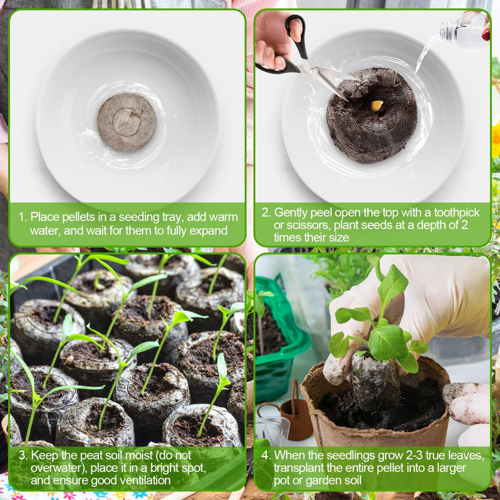 Legigo seed starter pellets in a nursery tray