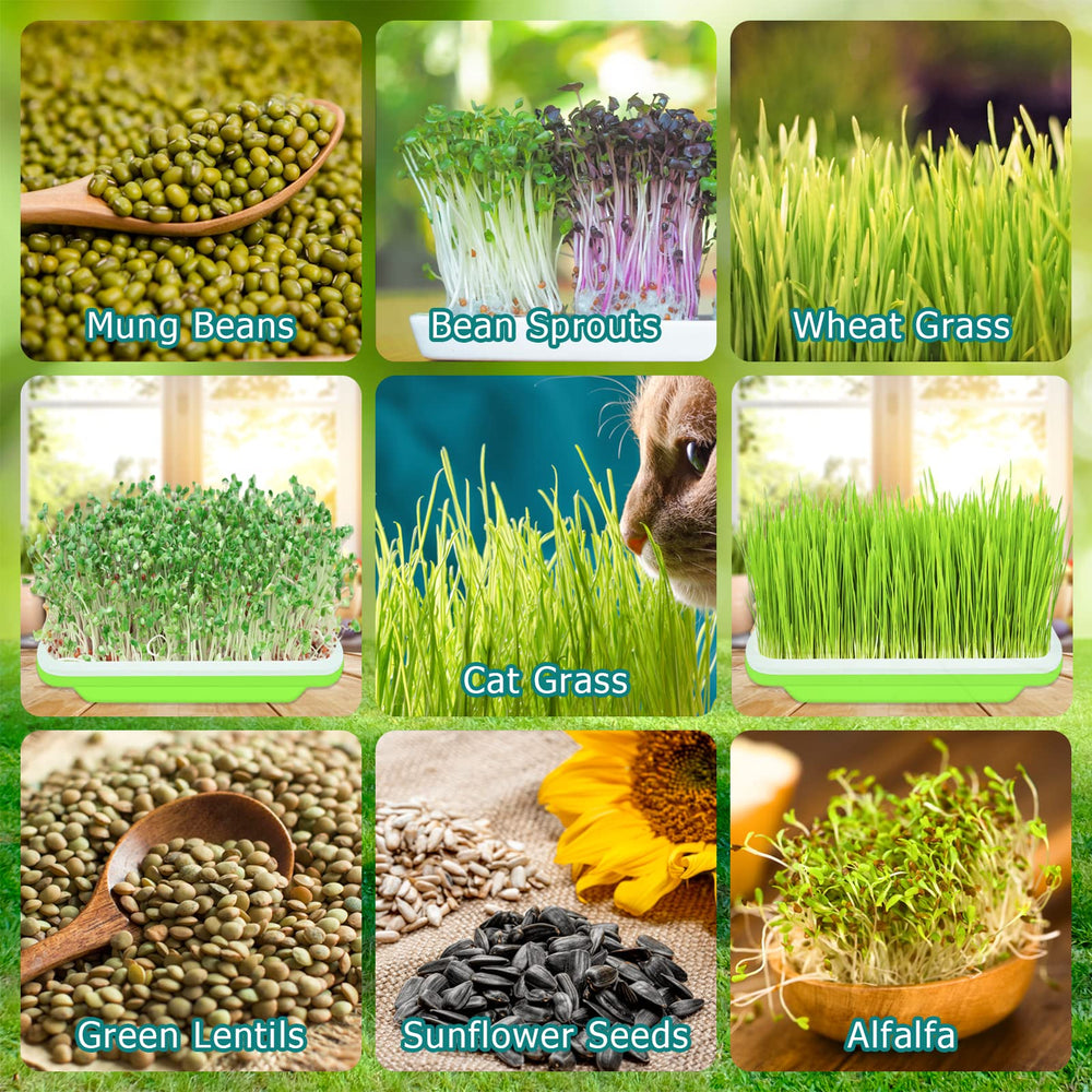 Legigo seed trays with planting papers included