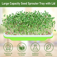 Legigo sprouting trays with transparent lids for easy monitoring