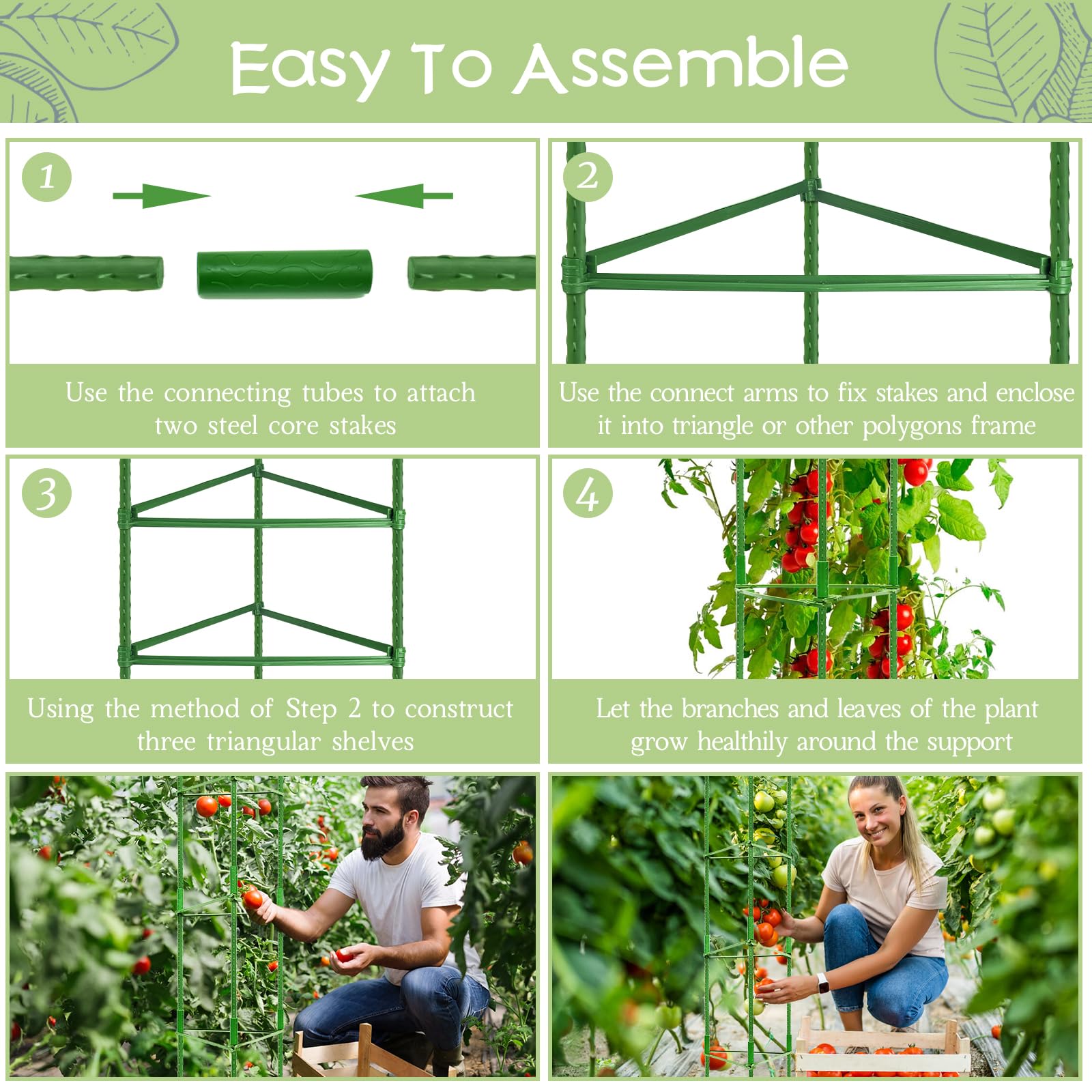 Legigo tomato cage in a vegetable greenhouse