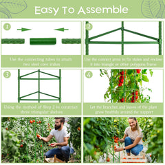 Legigo tomato cage in a vegetable greenhouse