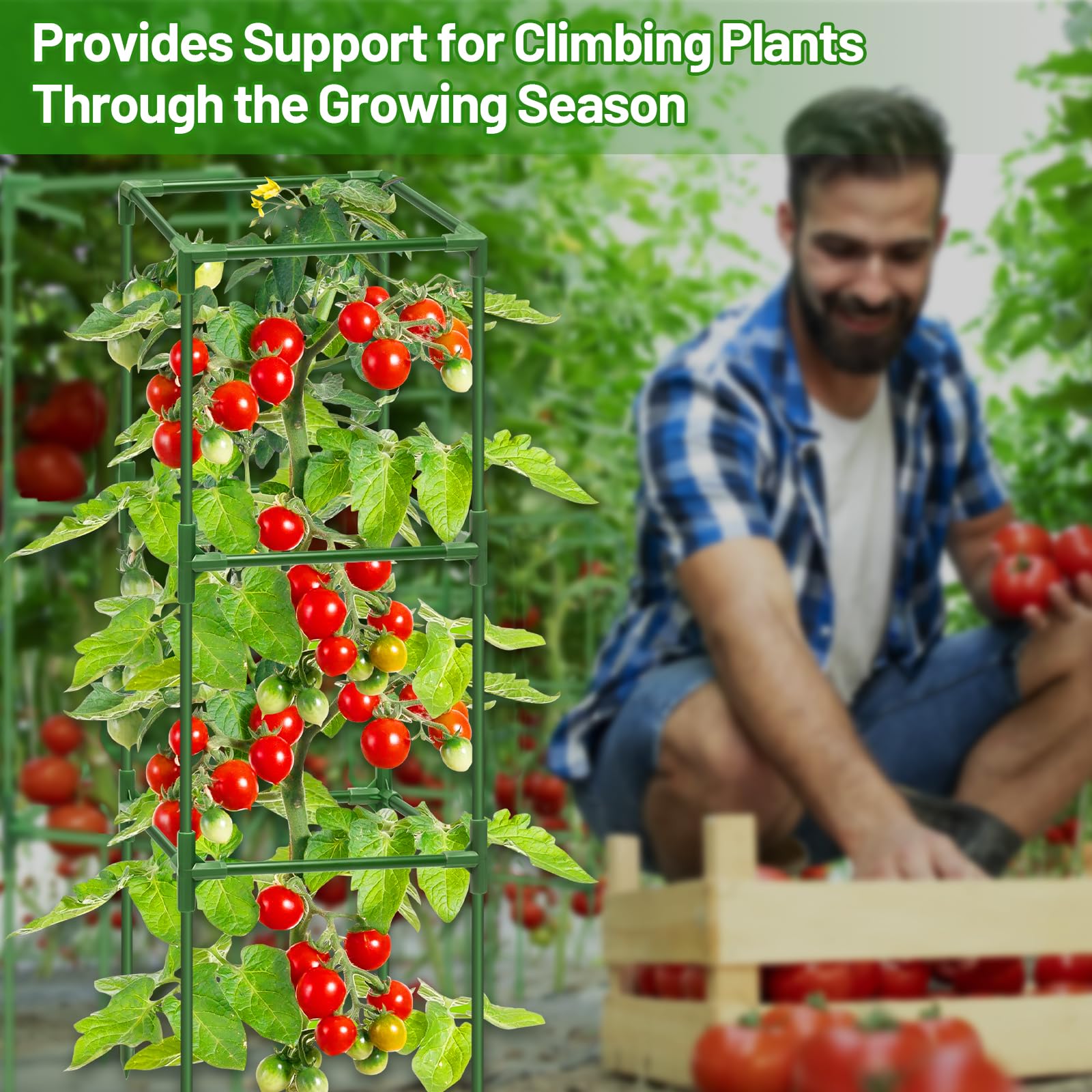 Legigo Tomato Cages installation instructions