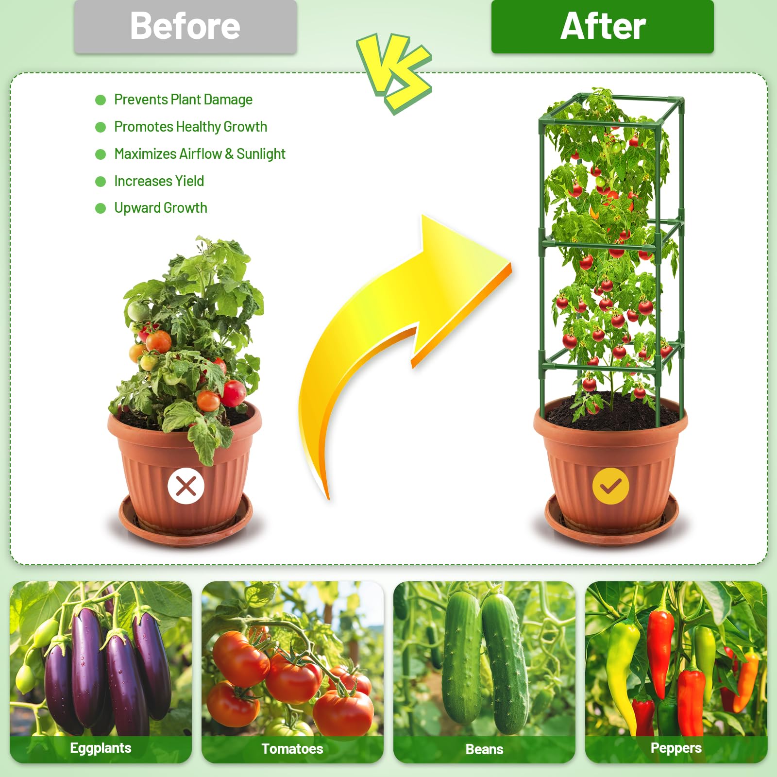 Legigo Tomato Cages with climbing tomatoes