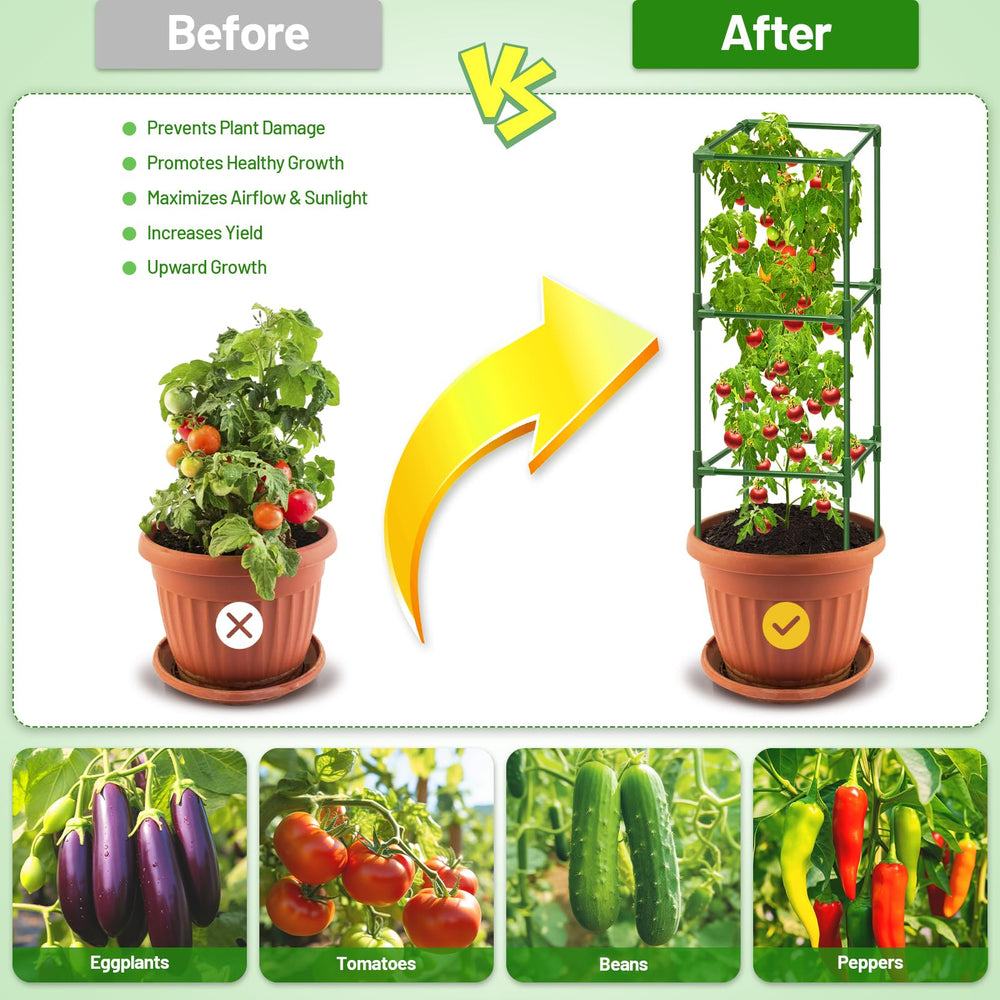 Legigo Tomato Cages with climbing tomatoes