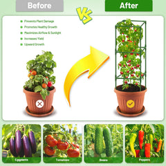 Legigo Tomato Cages with climbing tomatoes