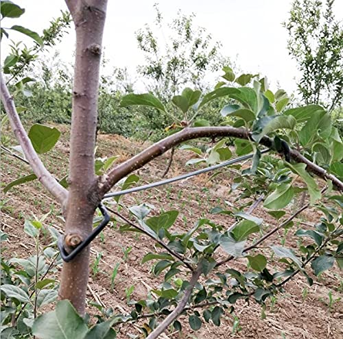 LEILIN Limb Spreaders in use on apple tree branches