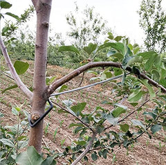 LEILIN Limb Spreaders in use on apple tree branches