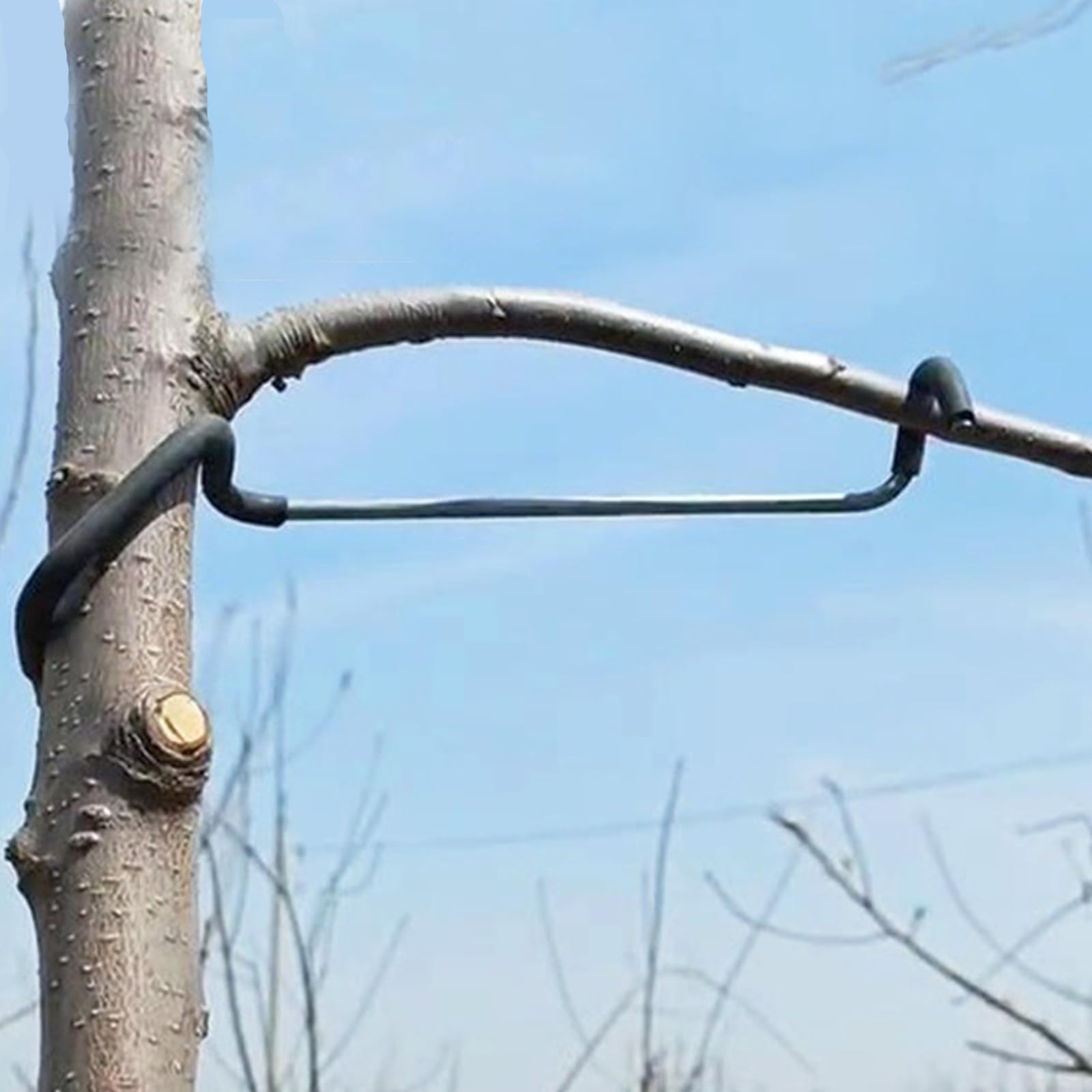 LEILIN Limb Spreaders showing iron structure and design