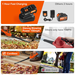 Leisch Life Cordless Leaf Blower lightweight design in use