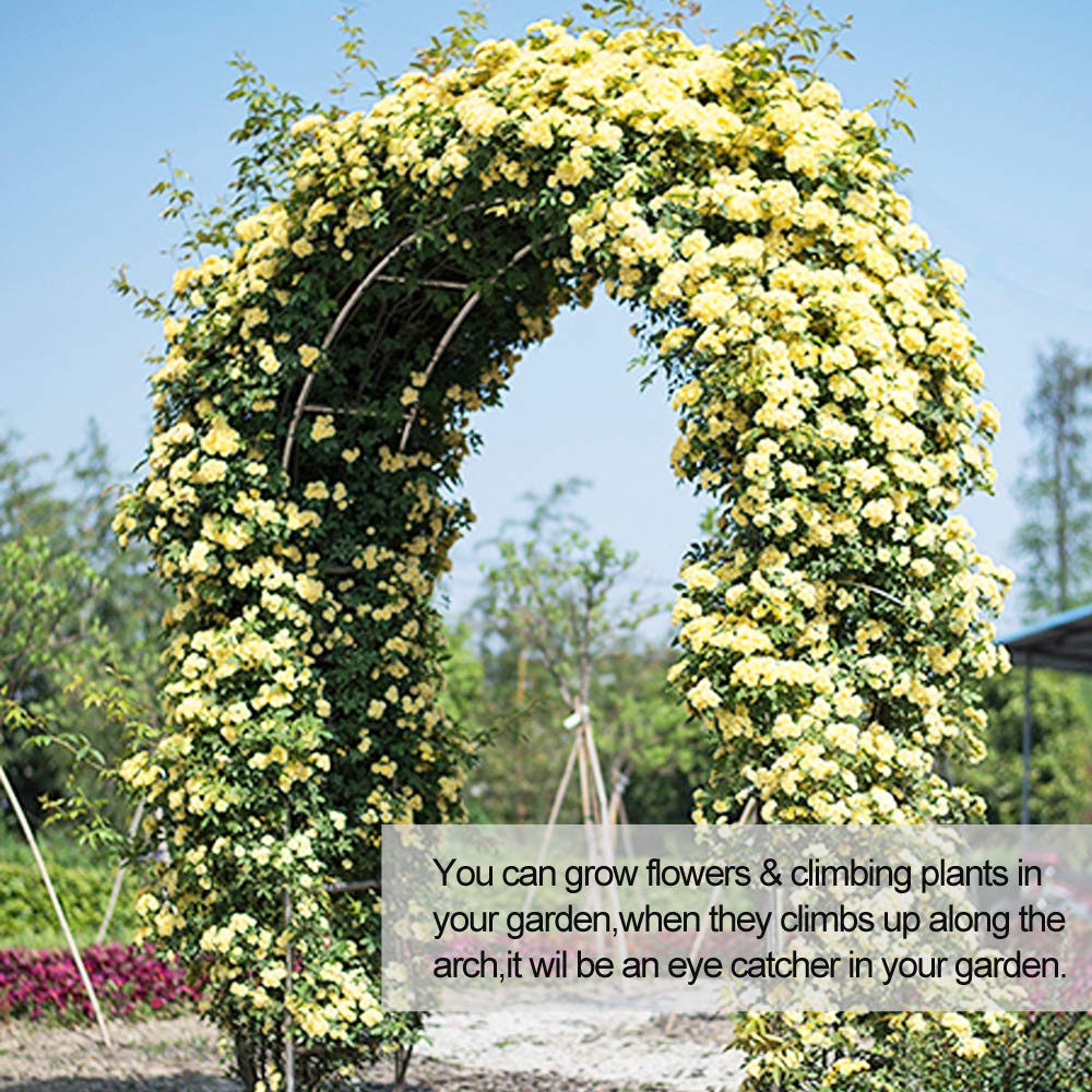 LeJoy Garden Metal Arch in an outdoor event setting
