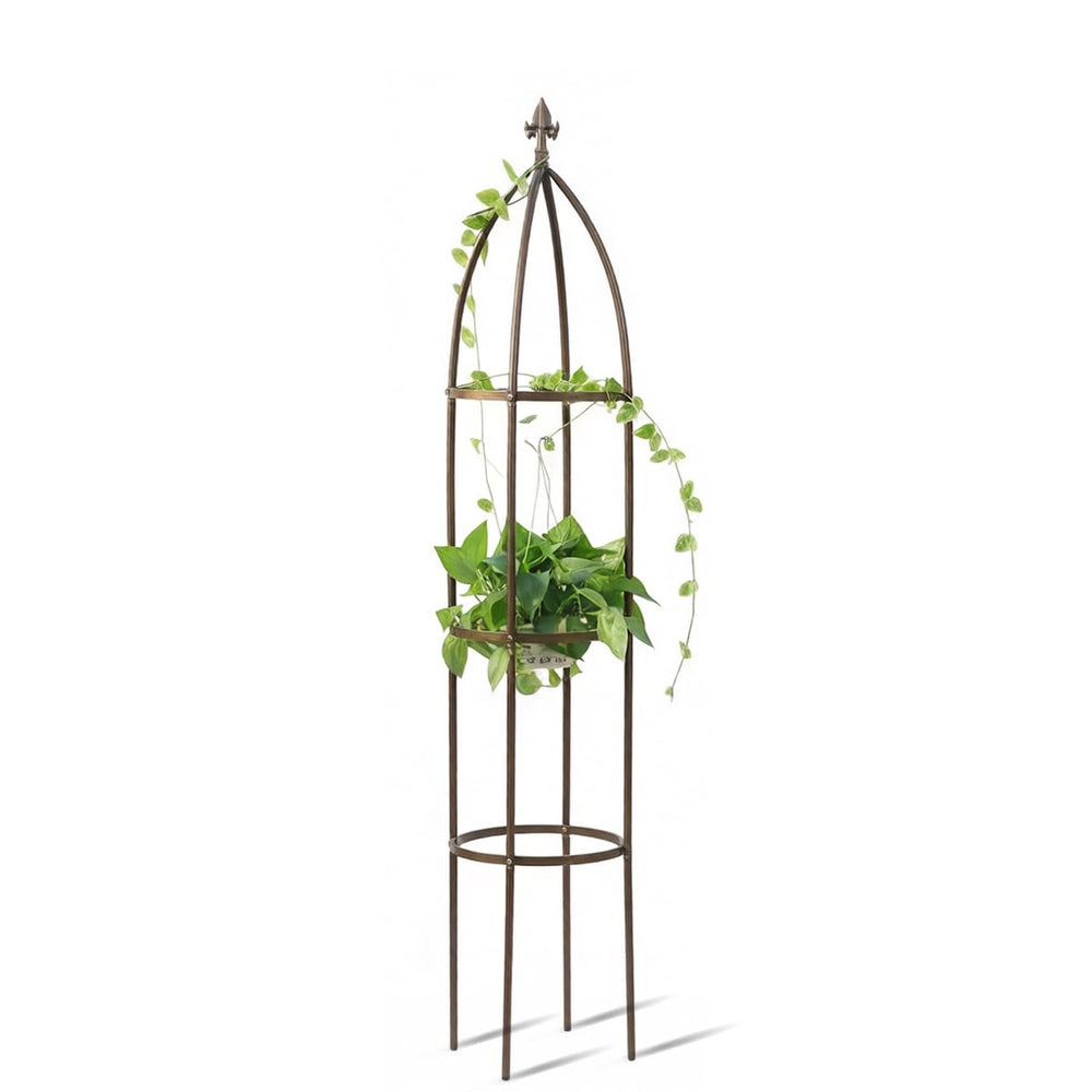 LeJoy Garden Obelisk Trellis 5.5 ft front view