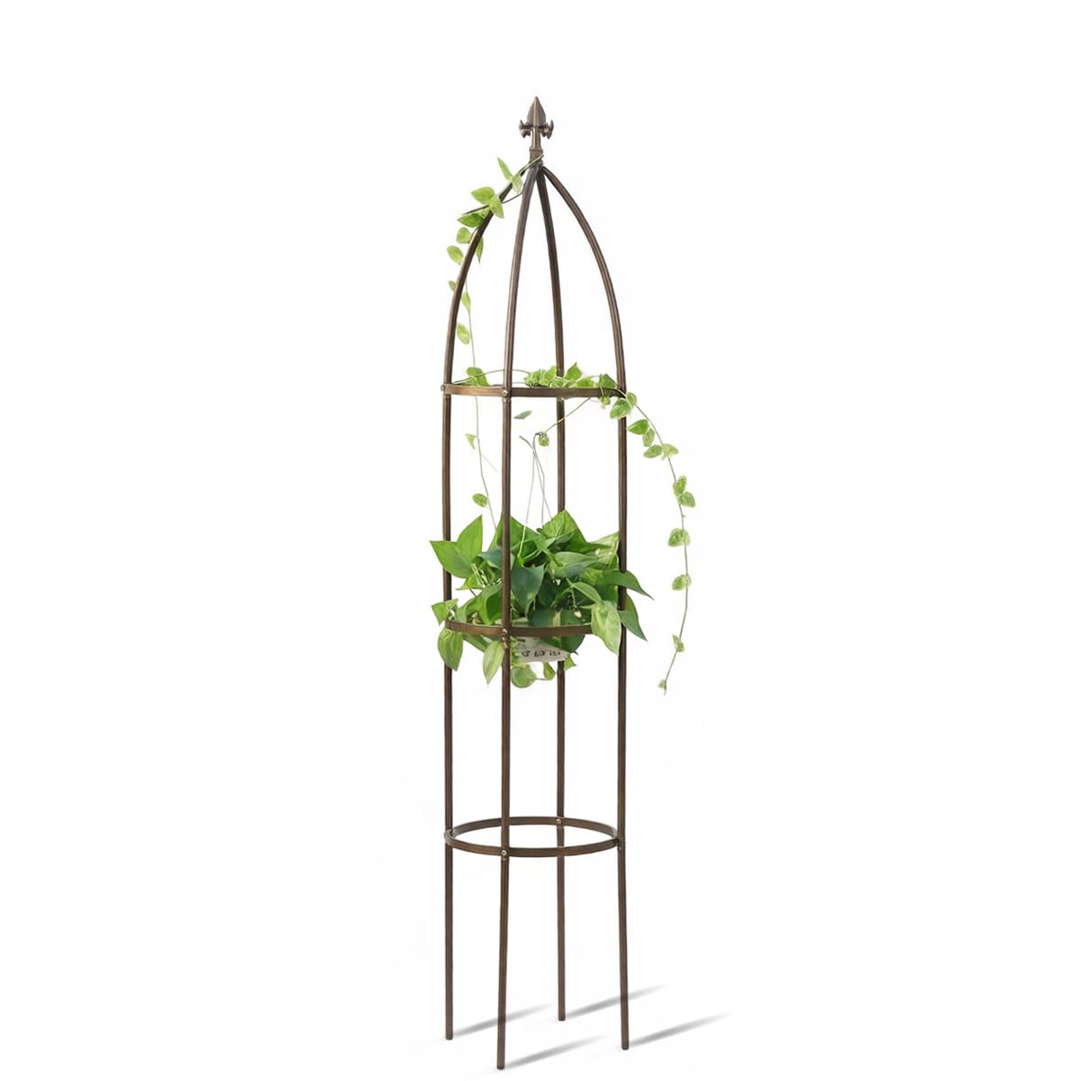 LeJoy Garden Obelisk Trellis 5.5 ft front view
