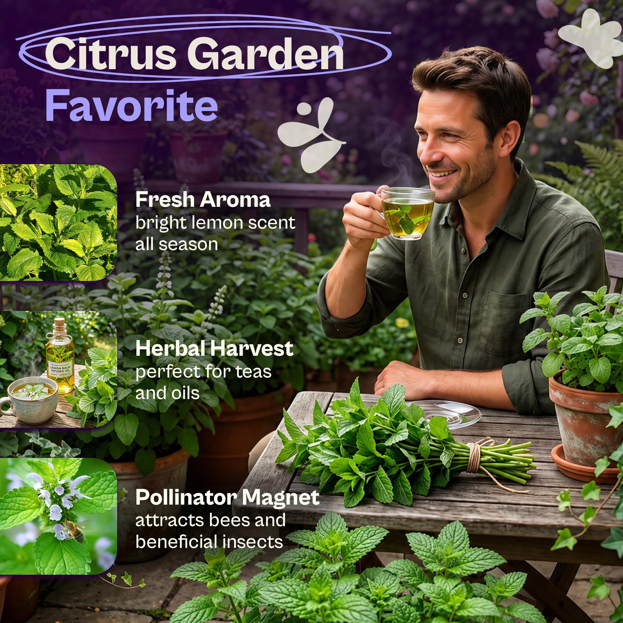 Lemon balm plant growing in garden