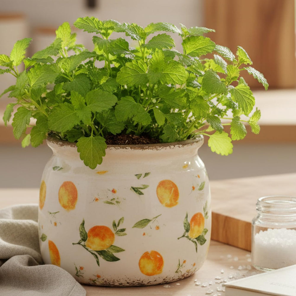 Lemon Ceramic Planter showing drainage hole and vibrant colour