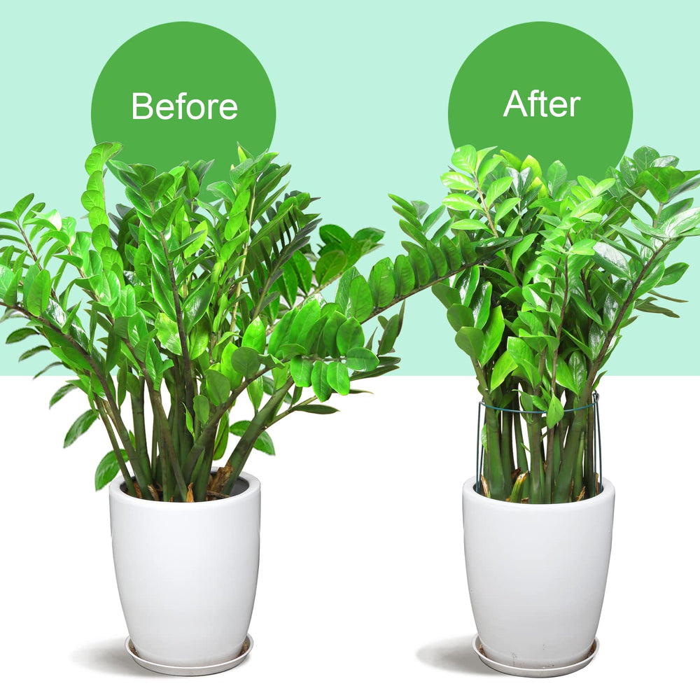 LEOBRO Plant Support Stakes in use with peony plants