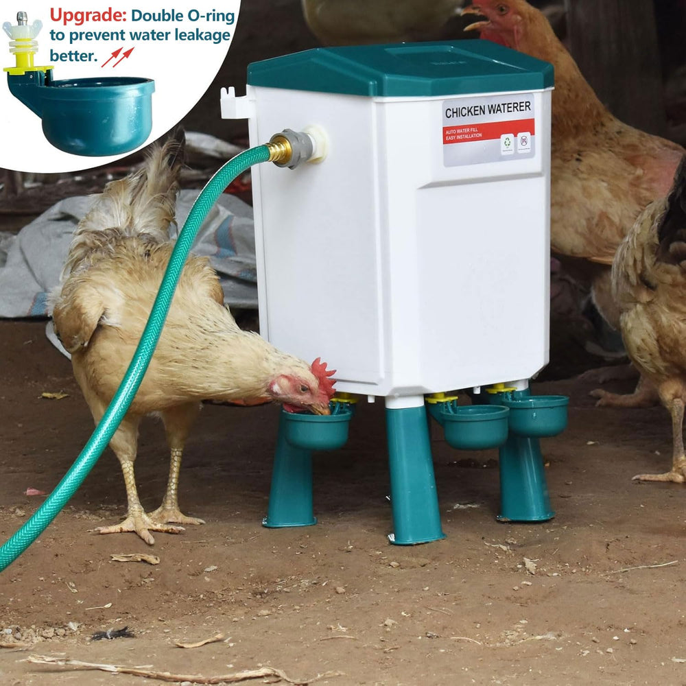 letsFix Automatic Chicken Waterer setup with S hook on fence