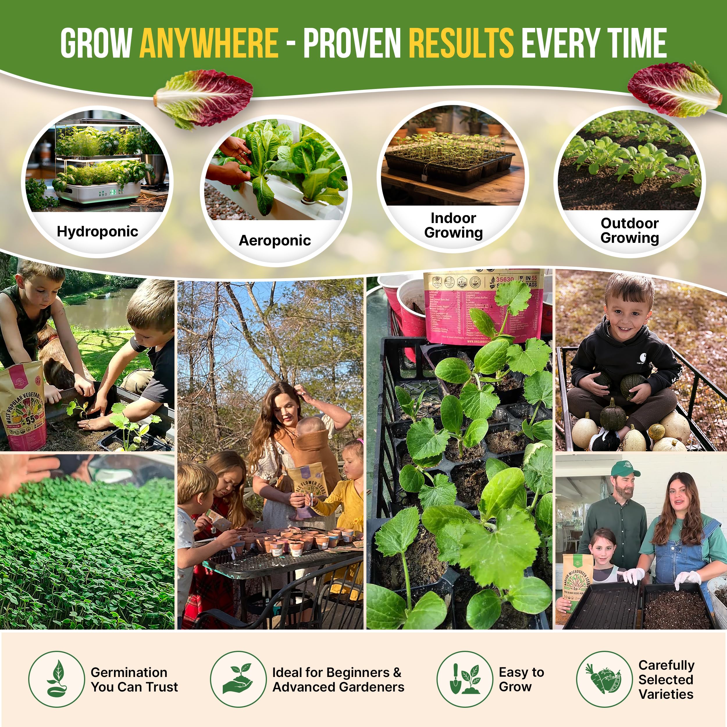 Lettuce varieties included: Swiss Chard, Spinach, Arugula