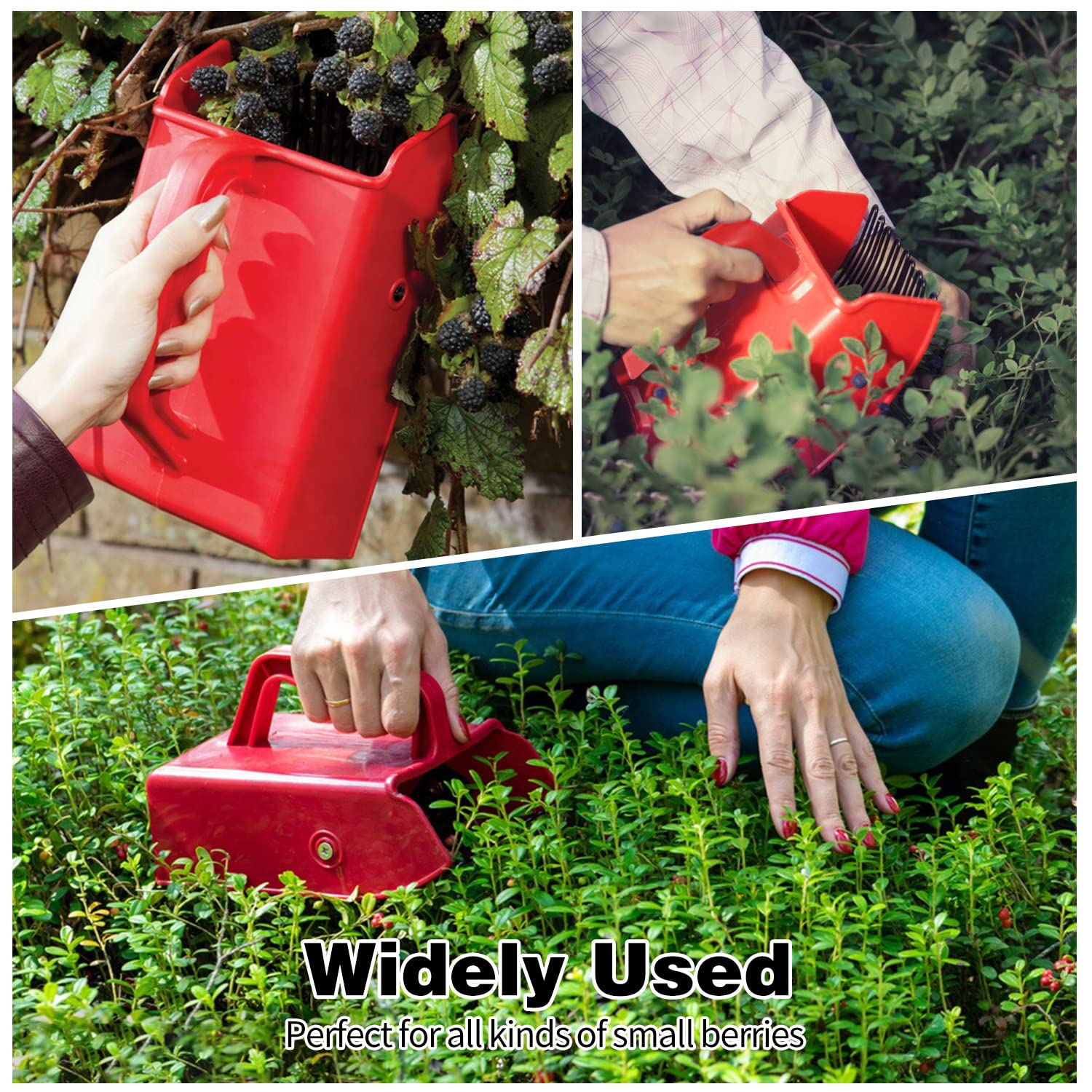 LFSEMINI Berry Picker in use outdoors