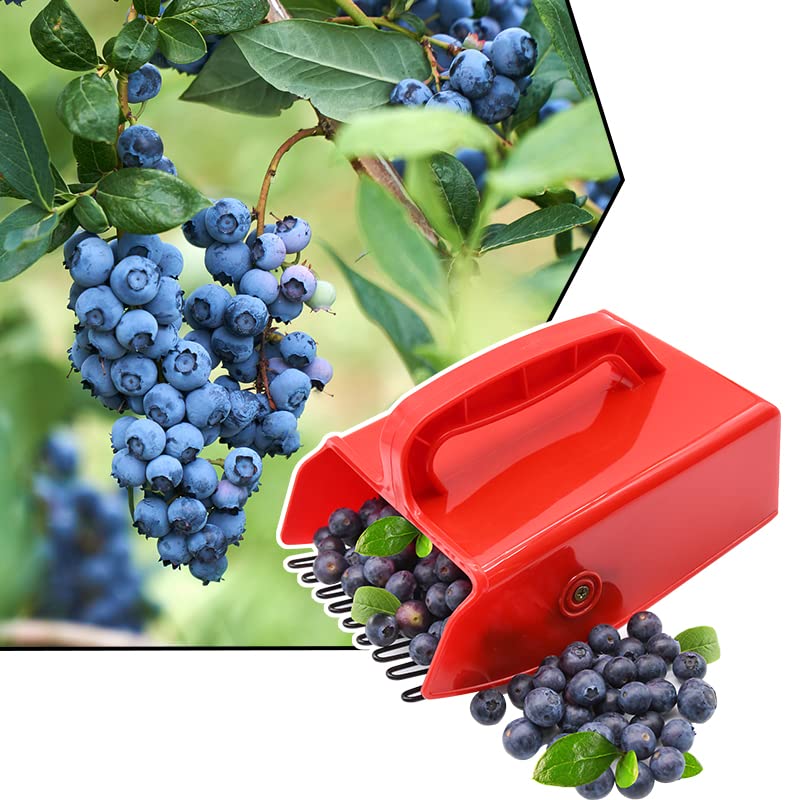 LFSEMINI Berry Pickers packaging front view