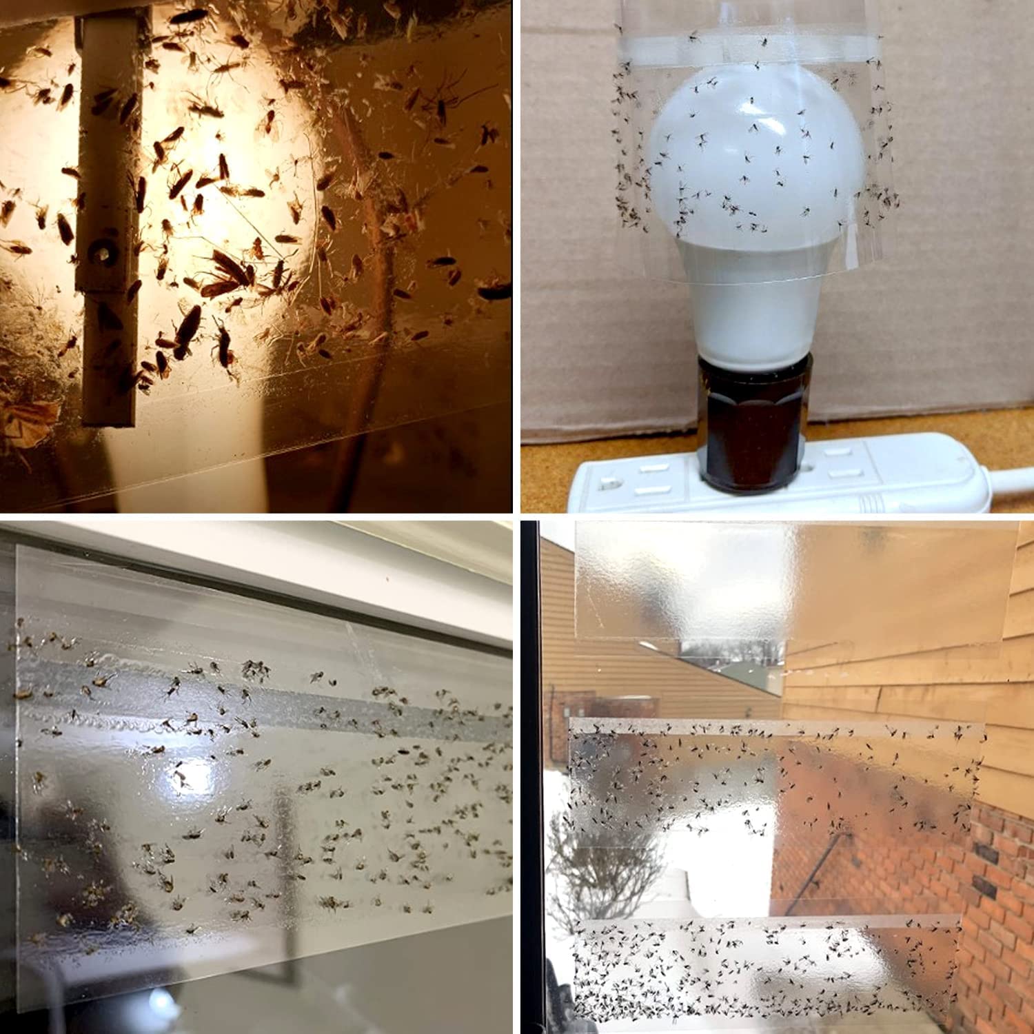 LFSYS fly trap showing easy removal from window