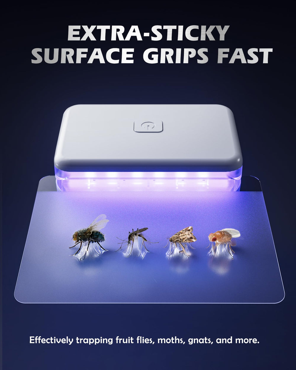 LFSYS Fruit Fly Trap packaging and refills