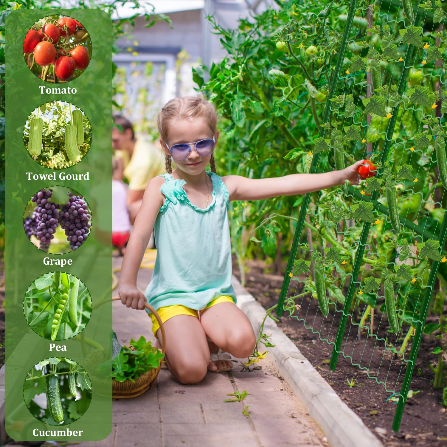 LifeisLuck Cucumber Trellis 31 x 47 inches dimensions displayed