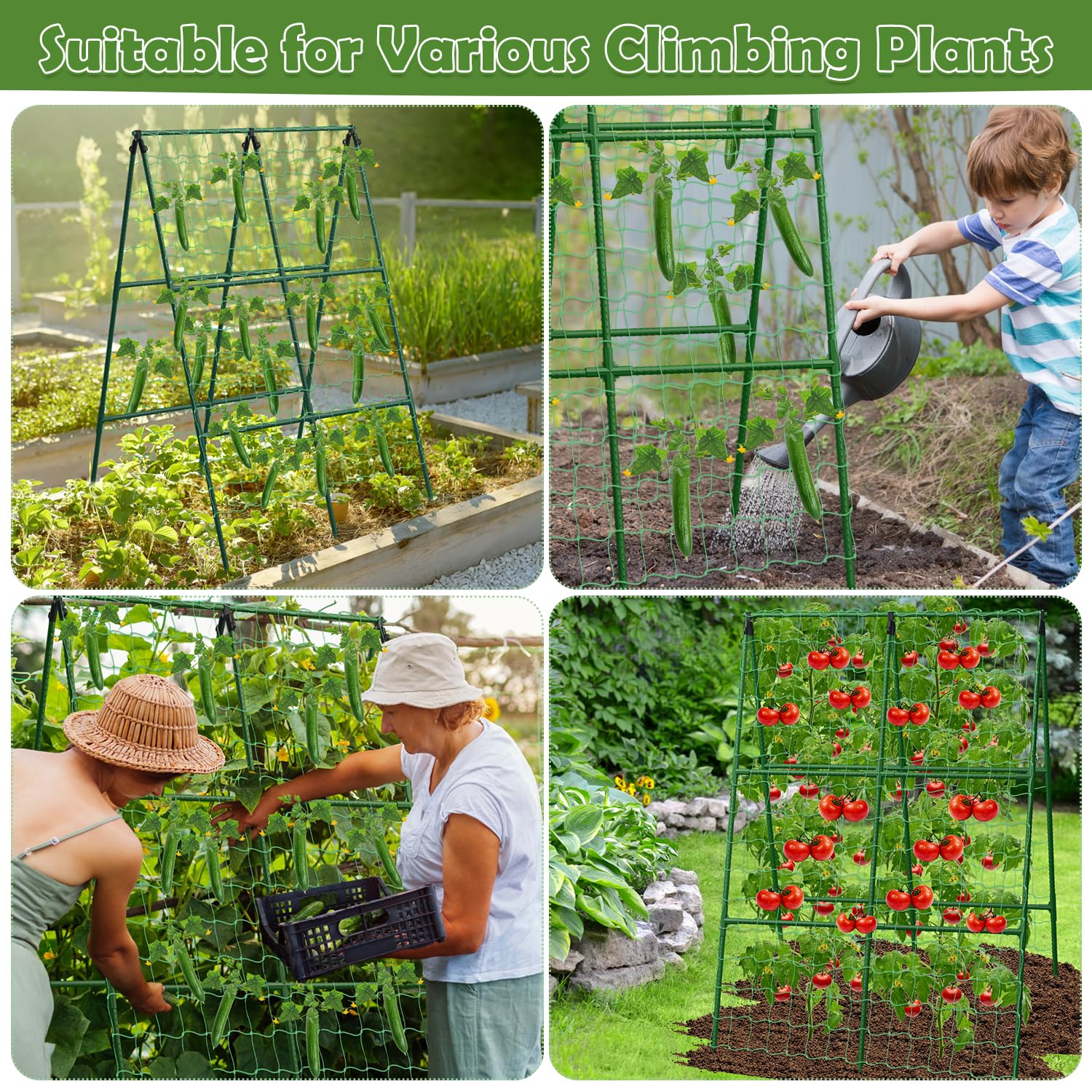 LifeisLuck Cucumber Trellis used for supporting tomatoes in raised bed