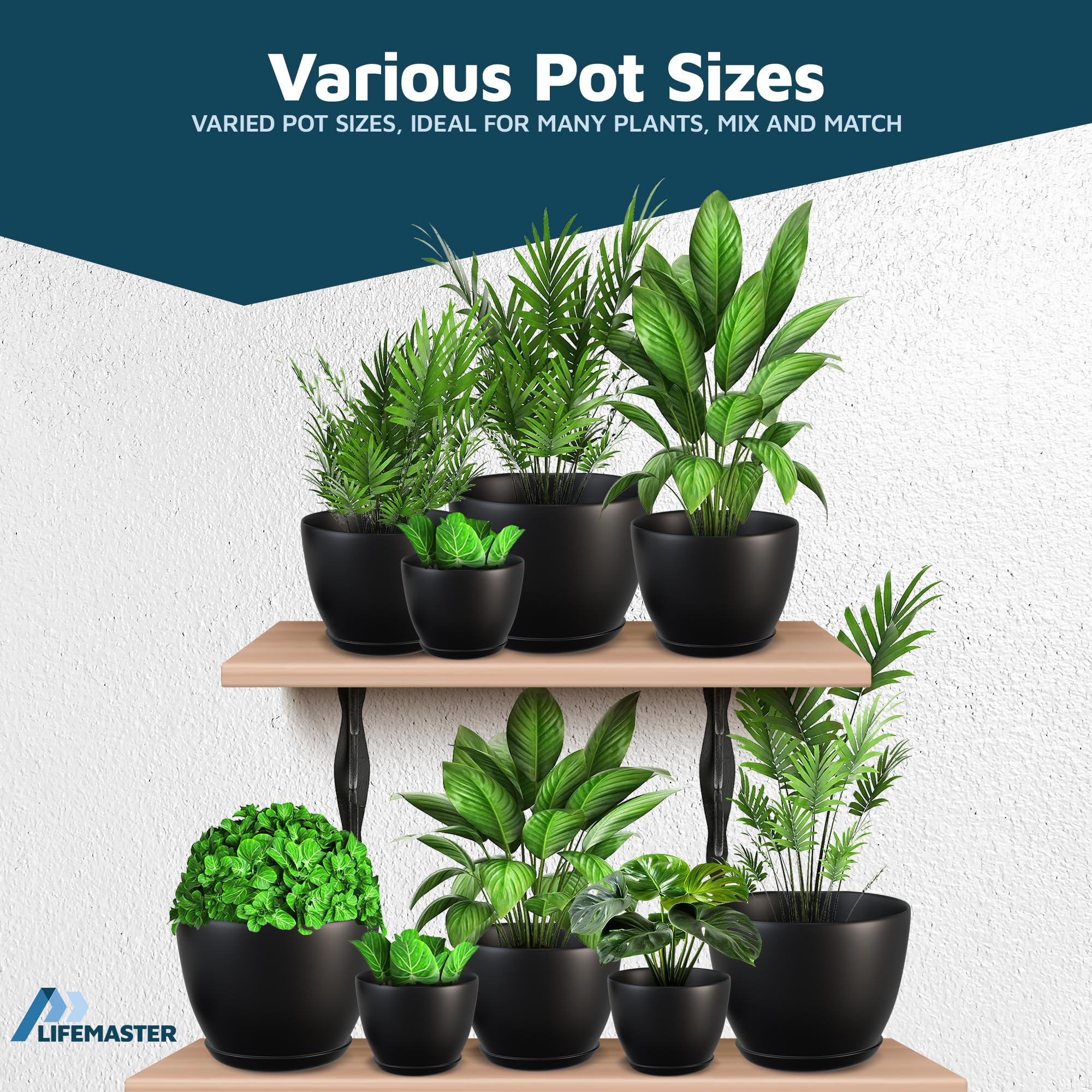 Lifemaster Plant Pot with succulent indoors
