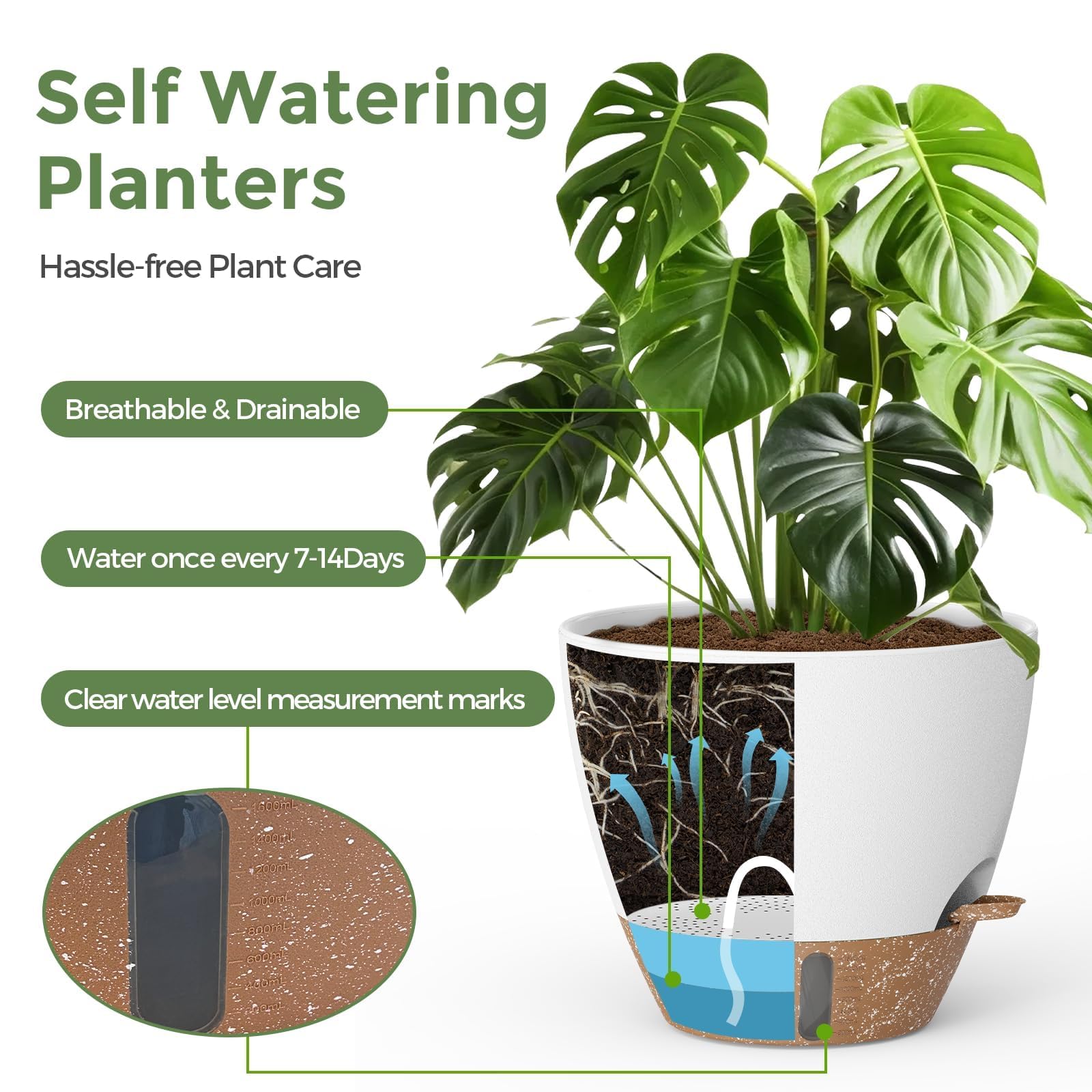 LifeNest 10-inch planter featuring a peace lily indoors