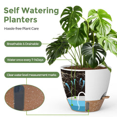 LifeNest 10-inch planter featuring a peace lily indoors