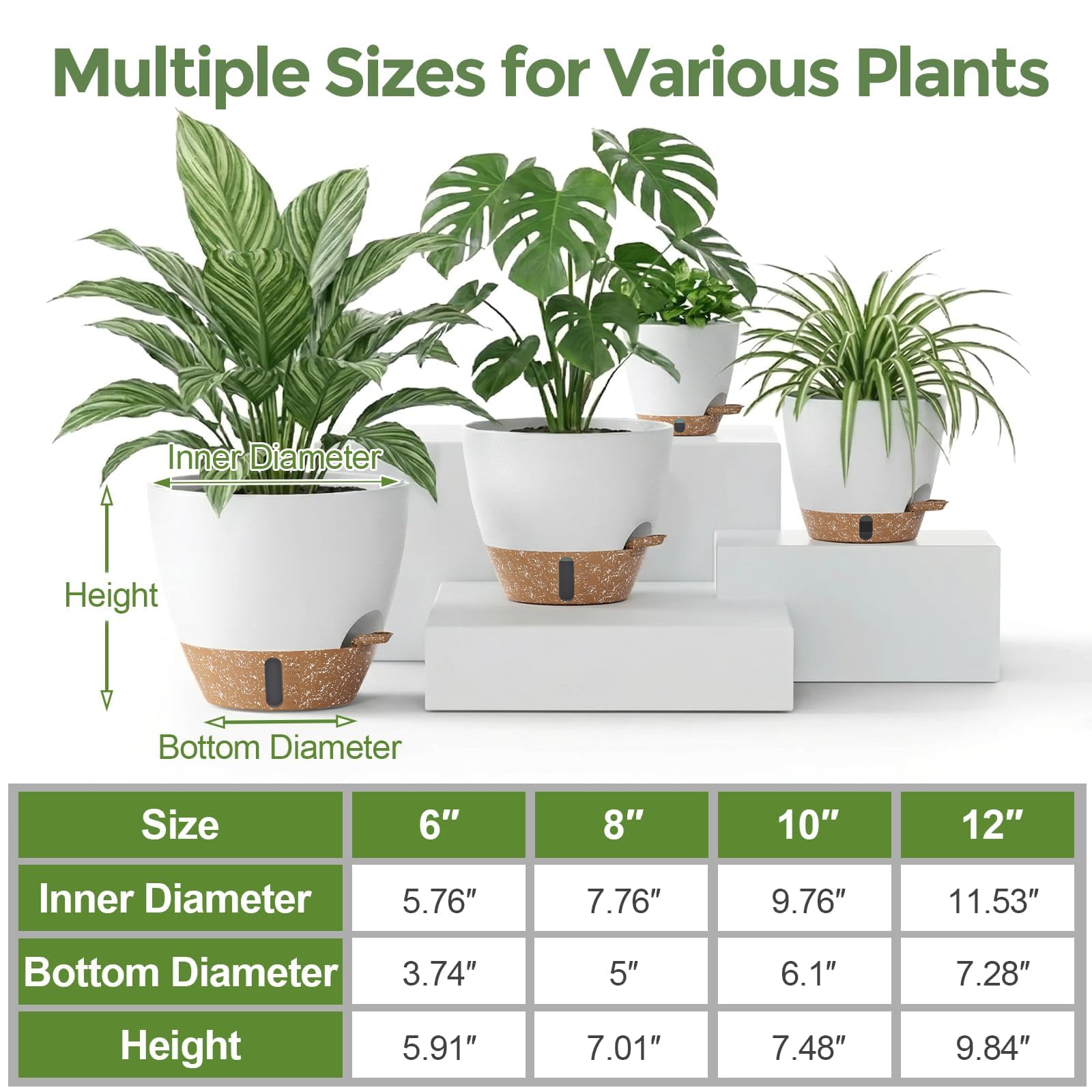 LifeNest 12-inch pot showcasing a monstera plant in a living room
