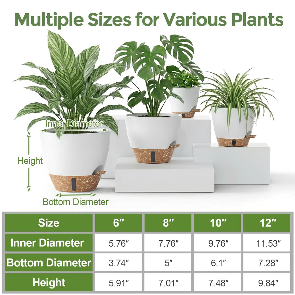 LifeNest 12-inch pot showcasing a monstera plant in a living room